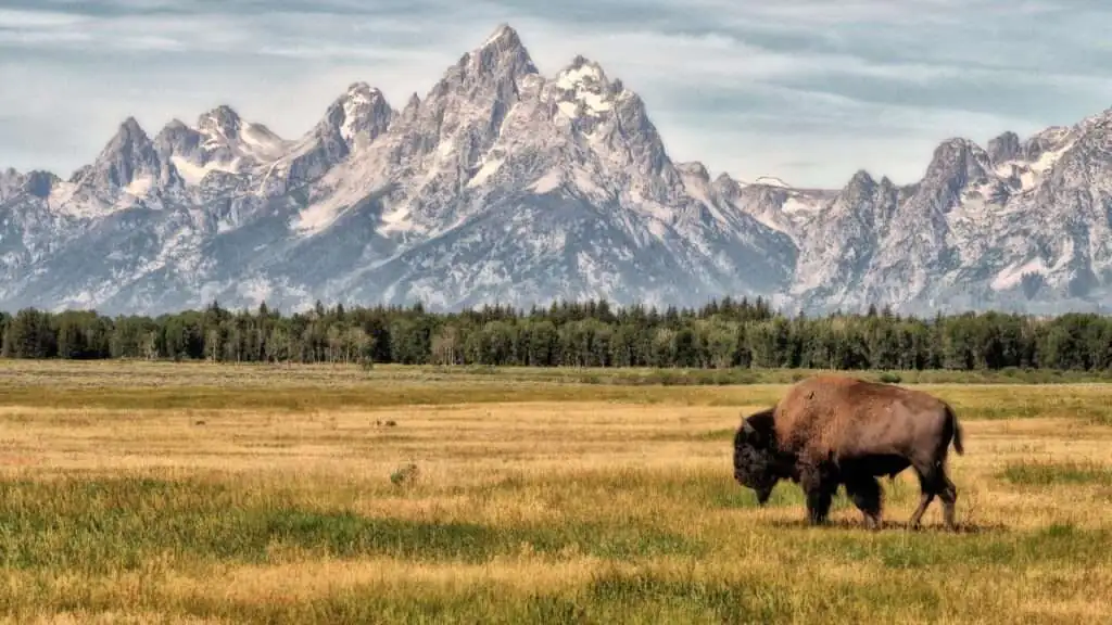 Jackson Hole day trips: visit Grand Teton National Park.